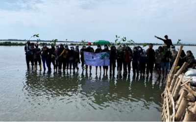 Cegah Abrasi, Mahasiswa D3 Humas Undip Tanam Mangrove