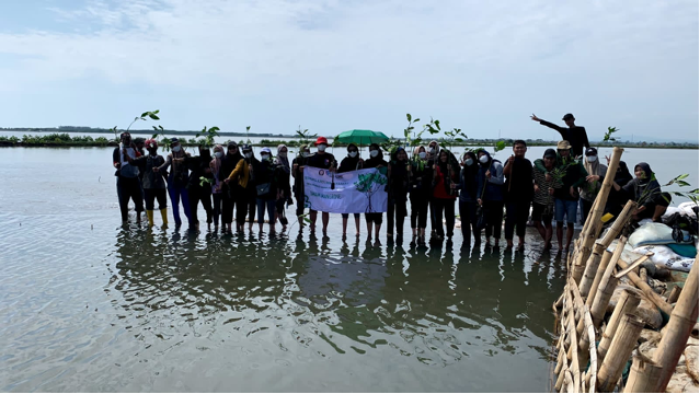 Cegah Abrasi, Mahasiswa D3 Humas Undip Tanam Mangrove